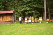 12_06_2016_060.jpg