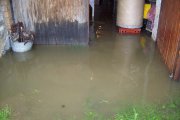 img047.jpg