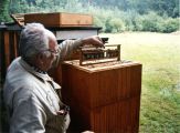 vcelari-picina-13.jpg