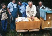 vcelari-picina-17.jpg